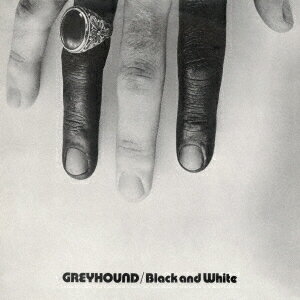 BLACK WHITE 3 GREYHOUND