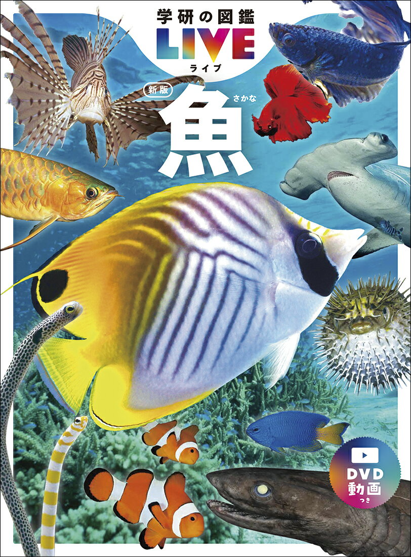 魚　新版