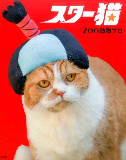 テレビ、映画界をにぎわす猫界の超ＶＩＰたちを見よ！！！！春馬くんほか猫大集合！