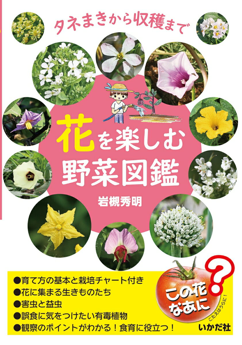 花を楽しむ野菜図鑑 タネまきから収穫まで [ 岩槻 秀明 ]