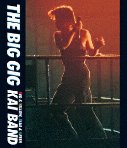 THE BIG GIG【Blu-ray】
