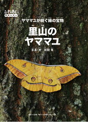 里山のヤママユ ヤママユが紡ぐ緑の宝物 [ 新開 孝 ]