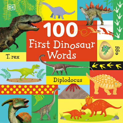 100 First Dinosaur Words 100 1ST DINOSAUR WORDS 100 First [ Dk ]