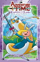 Adventure Time: The Fionna and Cake Compendium Vol. 1 ADV TIME THE FIONNA & CAKE...