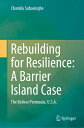 Rebuilding for Resilience: A Barrier Island Case: The Bolivar Peninsula, U.S.A. ...