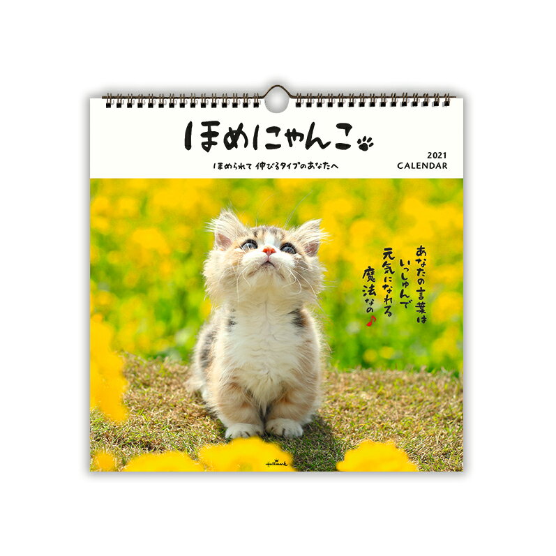 日本ホールマーク カレンダー2021年 壁掛け 大 ほめにゃんこ カレンダー （カレンダー）