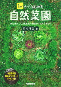 1m2からはじめる自然菜園 草を活かして、無農薬で野菜がぐんぐん育つ！ [ 竹内孝功 ]