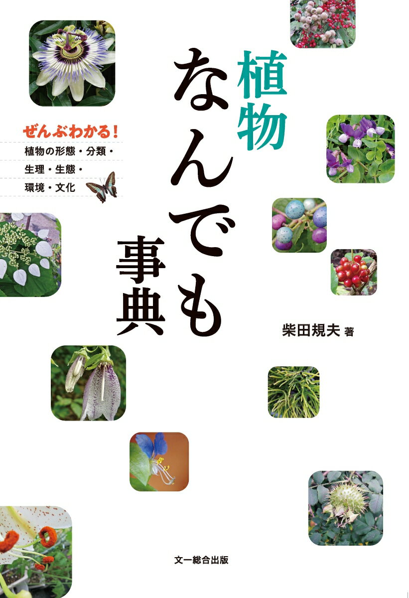 植物の形態や分類、生理、生態、人や環境、ほかの生物とのかかわりに関する約８００の用語を、写真・図版を豊富に使って解説しました。３０以上あるコラムでは、著者の実際の観察や発見、体験をベースにした話題を収録しました。植物観察の楽しみ方や、環境学習、自然体験のヒントが満載の、新しい植物事典です。