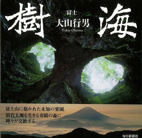 【バーゲン本】富士樹海