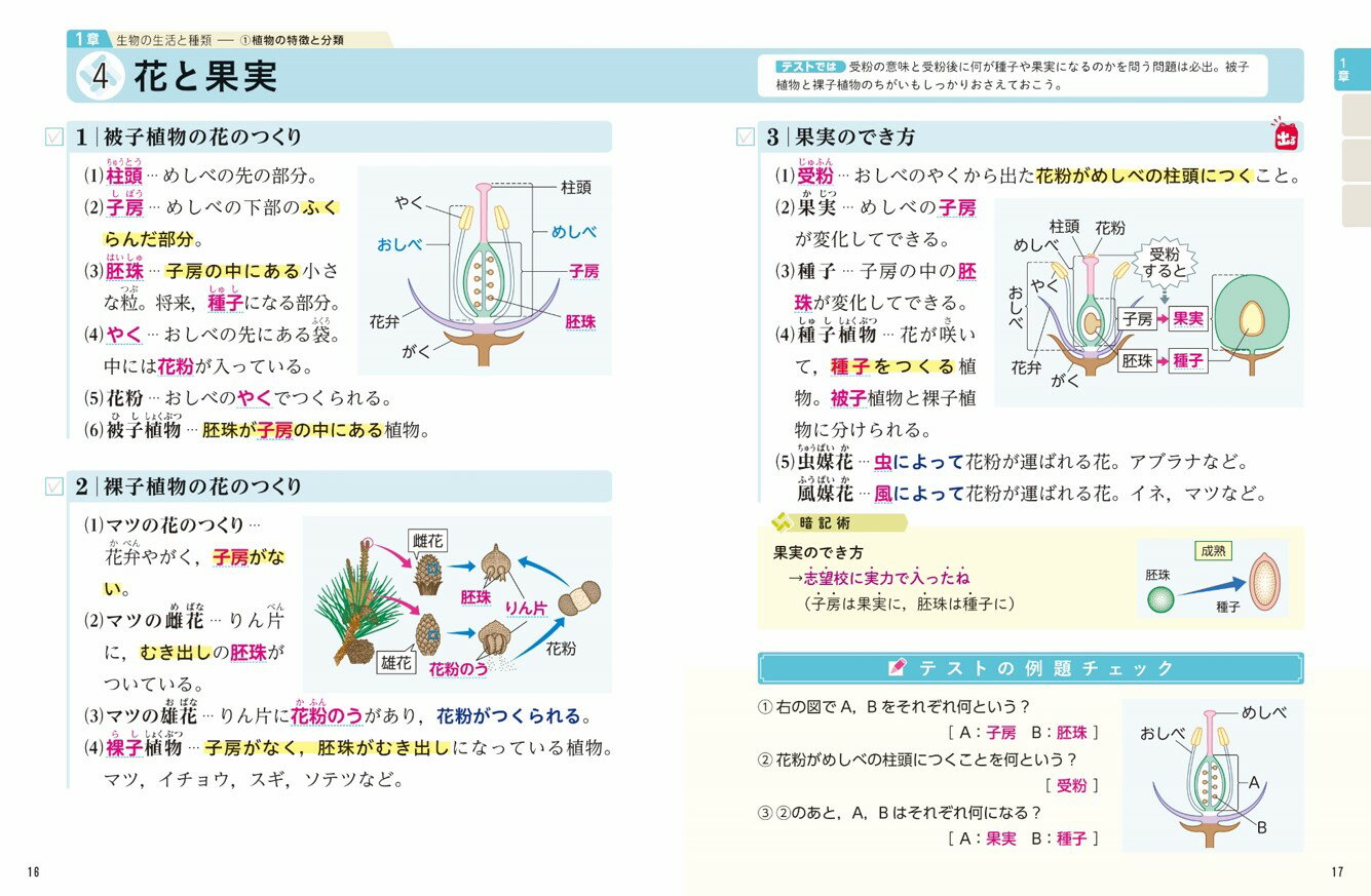 中1理科 改訂版 (定期テスト 出るナビ 3)...の紹介画像2