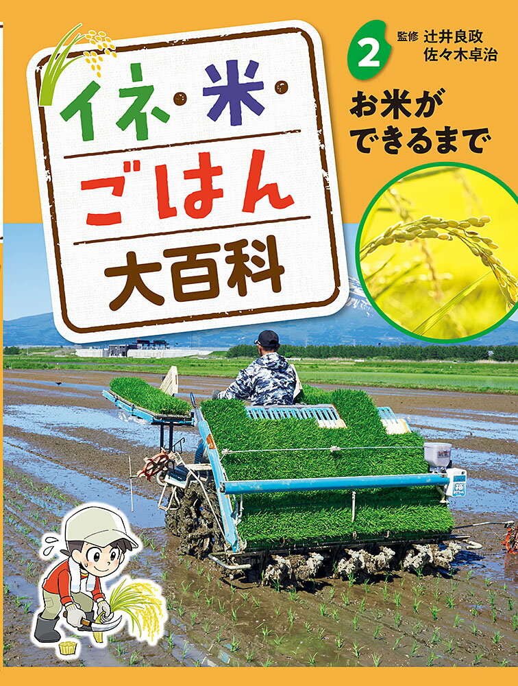 お米ができるまで （イネ・米・ごはん大百科　2） [ 辻井　良政 ]