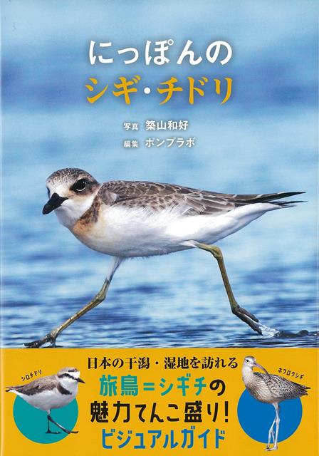 【バーゲン本】にっぽんのシギ・チドリ