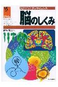 脳のしくみ