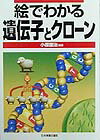 絵でわかる遺伝子とクロ-ン