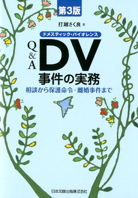 Q＆A　DV事件の実務第3版