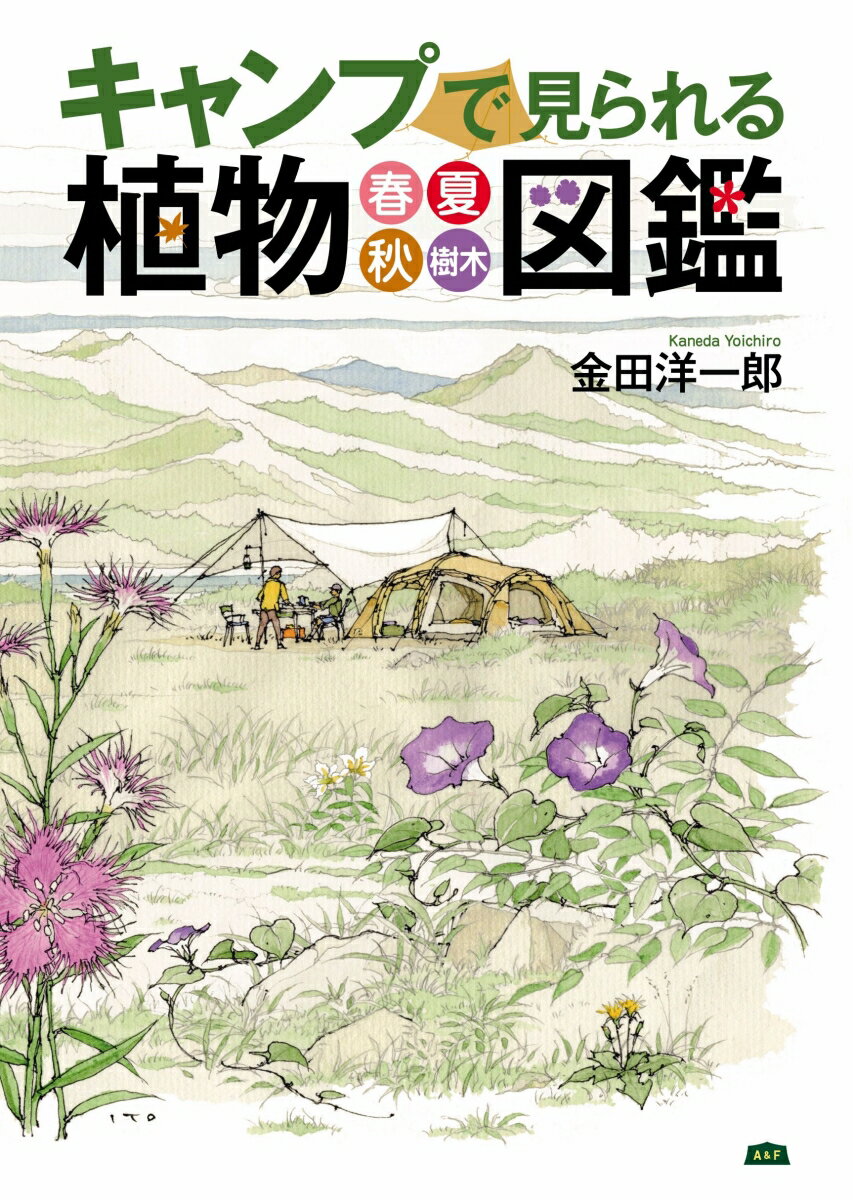 家庭や公園で見られる園芸植物ではなく、野草や高山植物、樹木など、キャンプ場に生育する植物の生命力に溢れた姿を見ることができます。ルーペを持って植物に向かえば、新しい発見や驚きに出会えるでしょう！本書では、キャンプで見られる植物をセレクトし、季節別に掲載。葉や花など植物を見分ける観察のポイント、植物を使って親子で楽しめる遊び方、危険な植物、野草の調理方法まで詳しく紹介。植物好きキャンパーが待ち望んでいた一冊！