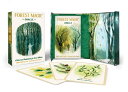 Forest Magic Oracle: A Deck and Guidebook for Green Witches FLSH CARD-FOREST MAGIC ORACLE Nikki Van De Car