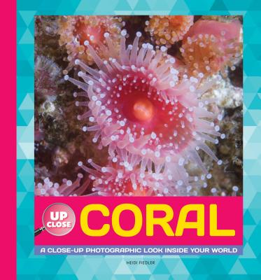 Coral: A Close-Up Photographic Look Inside Your World CORAL （Up Close） [ Heidi Fiedler ]