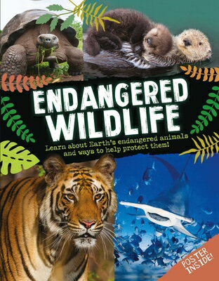Endangered Wildlife ENDANGERED WILDLIFE [ Editors of Silver Dolphin Books ]