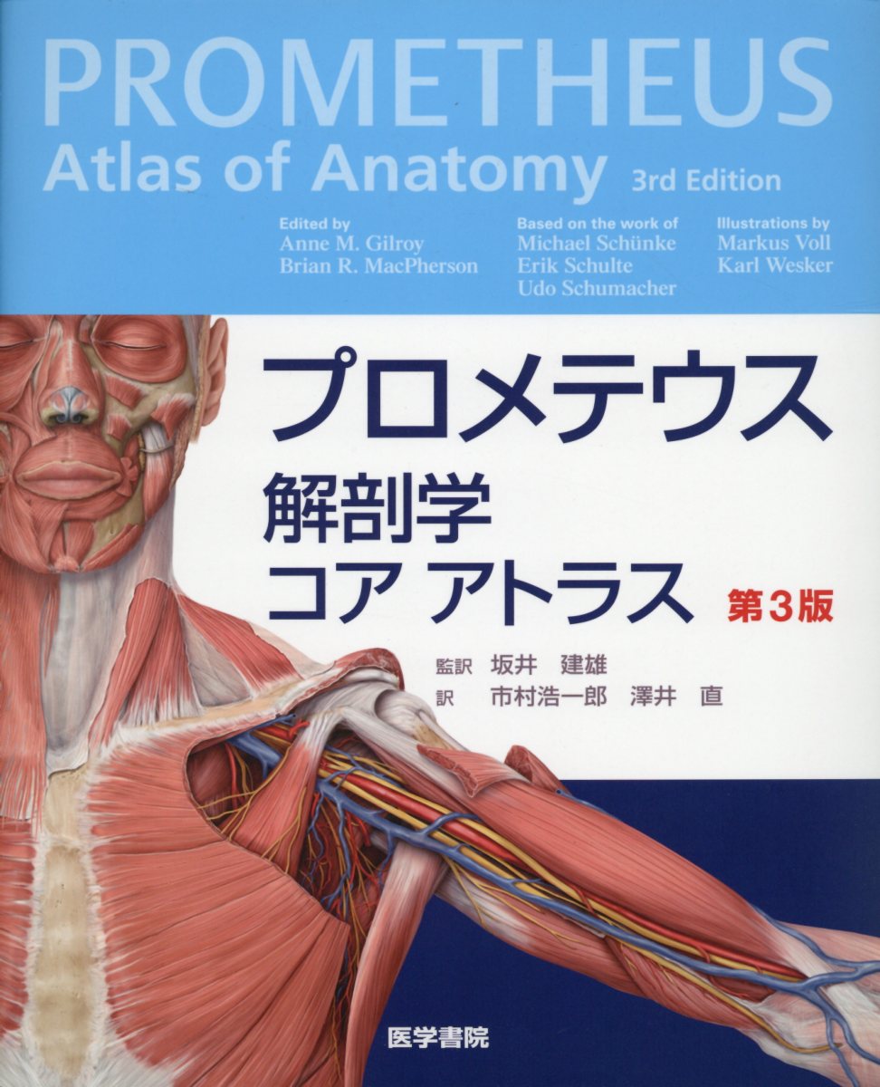 買うなら激安ネット通販 プロメテウス解剖学アトラス 頭頸部