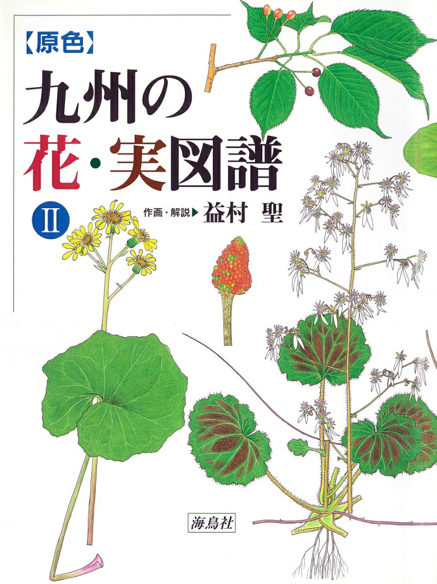 Botany - 九州の花・実図譜2 【原色】 [ 益村 聖 ]
