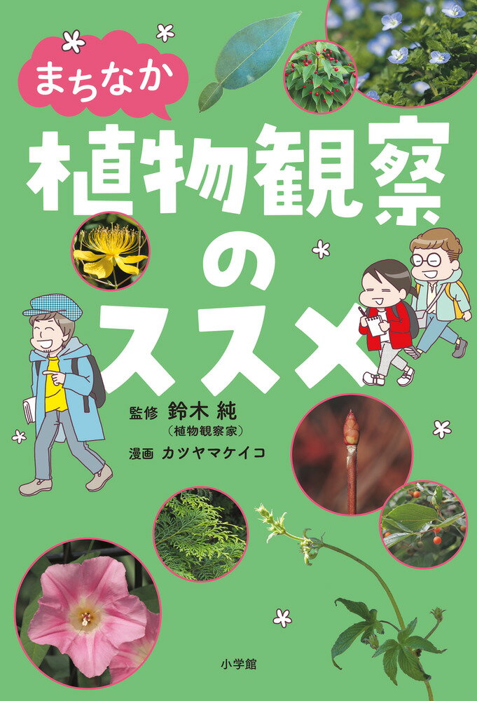 まちなか植物観察のススメ