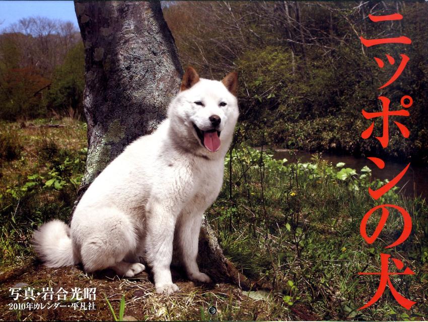 ニッポンの犬カレンダー（2010）