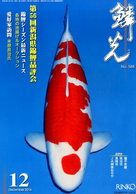 鱗光（2016-12） 第56回新潟県錦鯉品評会