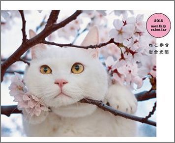 岩合光昭ねこ歩きカレンダー卓上（2015）