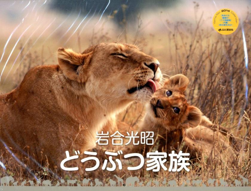 岩合光昭 世界のどうぶつ家族