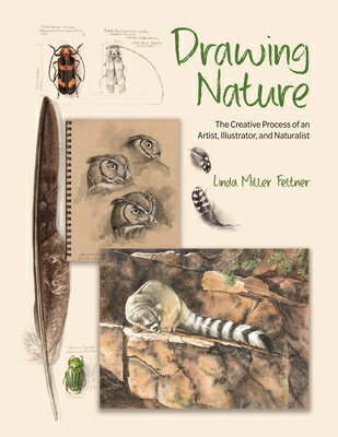 Drawing Nature: The Creative Process of an Artist, Illustrator, and Naturalist DRAWING NATURE [ Linda Miller Feltner ]