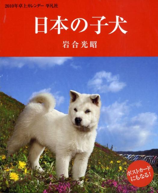 日本の子犬　卓上カレンダー（2010）