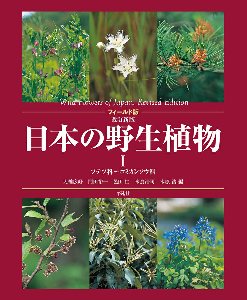 フィールド版 改訂新版 日本の野生植物1 1 ソテツ科～コミカンソウ科 [ 大橋 広好 ]