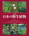 『改訂新版日本の野生植物』（全５巻）の内容を２冊に凝縮した簡略・縮小版。すべてのカラー写真をそのまま収載（約１万点）。「科解説」「属解説」「検索表」を丸ごと掲載。新しい植物分類体系ＡＰＧ３・４に対応。カラーページは各巻６６０ページ超。