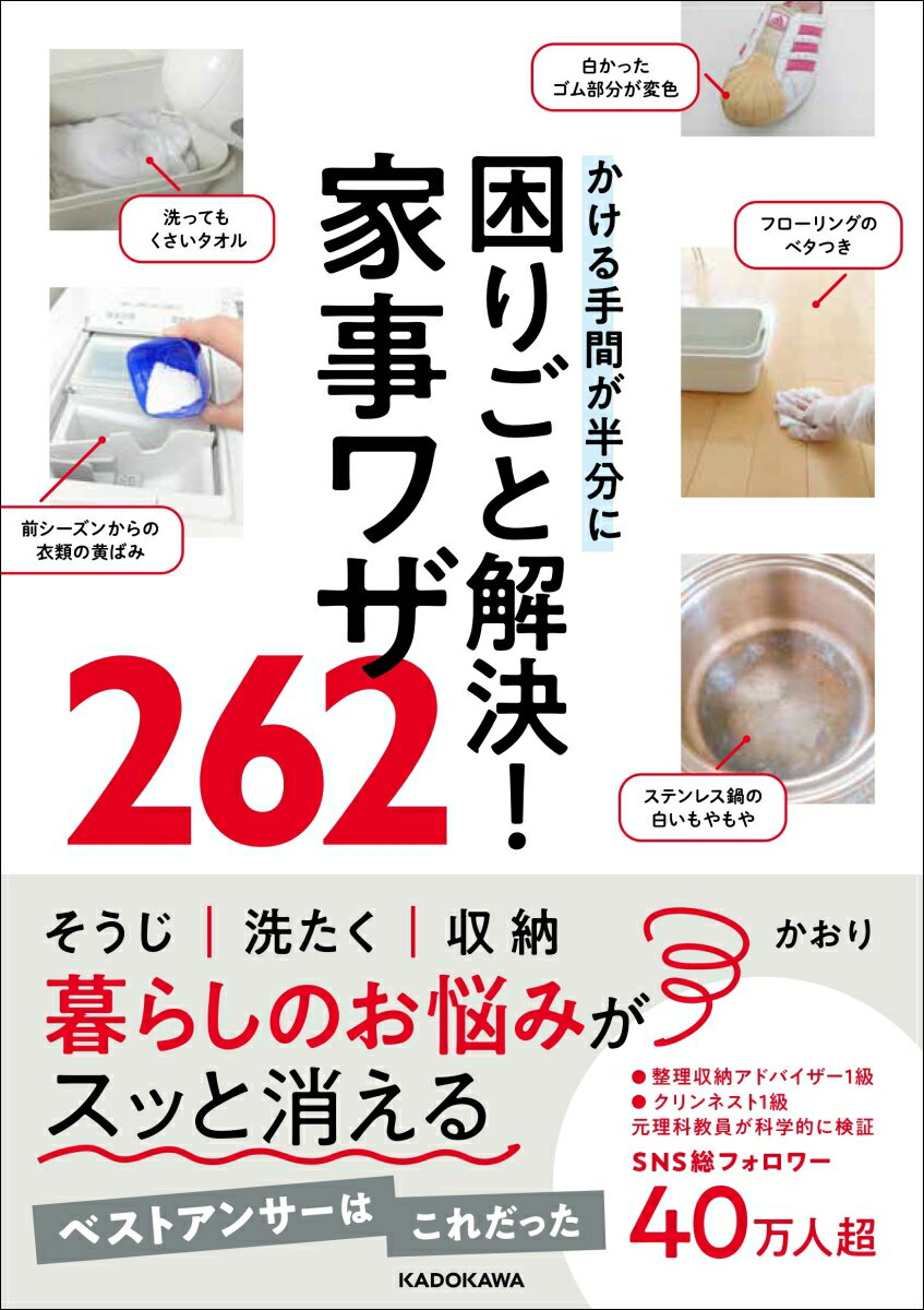 かける手間が半分に 困りごと解決！家事ワザ262