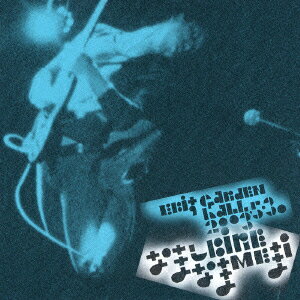 楽天市場】ゆらゆら帝国 夜行性の生き物3匹 アルバムの通販