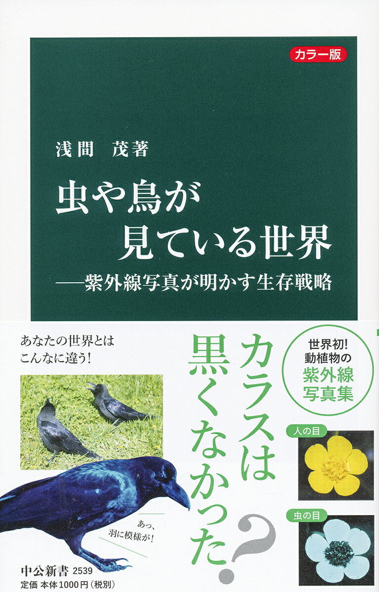 カラー版 虫や鳥が見ている世界ー紫外線写真が明かす生存戦略 （中公新書　2539） [ 浅間 茂 ]