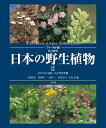 フィールド版 改訂新版 日本の野生植物2（2） ミゾハコベ科～スイカズラ科 [ 大橋　広好 ]