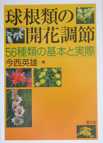 56種類の基本と実際 今西英雄 農山漁村文化協会BKSCPN_【高額商品】 キュウコンルイ ノ カイカ チョウセツ イマニシ,ヒデオ 発行年月：2005年03月31日 予約締切日：2005年03月24日 ページ数：312p サイズ：単行本 ISBN：9784540030765 今西英雄（イマニシヒデオ） 1940年生まれ。1964年京都大学農学部大学院修士課程修了と同時に、京都大学農学部助手。1965年大阪府立大学農学部助手に転じ、講師・助教授を経て、1988年教授、2002年に退職、名誉教授。2002年4月より東京農業大学農学部教授。農学博士（本データはこの書籍が刊行された当時に掲載されていたものです） 球根類の生育と開花調節の基礎（球根類の分類／生育の周期性と発育段階／球根生産　ほか）／主な球根類の開花調節（アネモネ／アマリリス／アリウム　ほか）／その他の球根類の開花調節（アシダンセラ／イキシア／イキシオリリオン　ほか） 本 ビジネス・経済・就職 産業 農業・畜産業 美容・暮らし・健康・料理 ガーデニング・フラワー 花