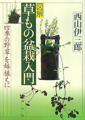 四季の野草を鉢植えに 西山伊三郎 農山漁村文化協会ズカイ クサモノ ボンサイ ニュウモン ニシヤマ,イサブロウ 発行年月：2005年09月 ページ数：129p サイズ：単行本 ISBN：9784540052514 西山伊三郎（ニシヤマイサブロウ） 大正10年、鎌倉の農家に生まれる。農業のかたわら、好きな盆栽に魅せられ、「松籟園」を開く。以来、盆栽、とくに草もの盆栽にいそしみ、「鎌倉路野風致盆栽会」を主宰。平成11年逝去。「松籟園」は子息西山友一氏に引き継がれ、地域の愛好家とともに草もの盆栽の輪を広げている（本データはこの書籍が刊行された当時に掲載されていたものです） 第1章　四季の野草鉢（春／夏／秋　ほか）／第2章　野草の鉢つくり入門（野草の選び方／素材の入手・育て方／用土の選び方・使い方　ほか）／第3章　野草の鉢つくりの実際（早春／盛春／晩春　ほか） 本 ビジネス・経済・就職 産業 農業・畜産業 美容・暮らし・健康・料理 ガーデニング・フラワー 花 美容・暮らし・健康・料理 ガーデニング・フラワー 観葉植物・盆栽