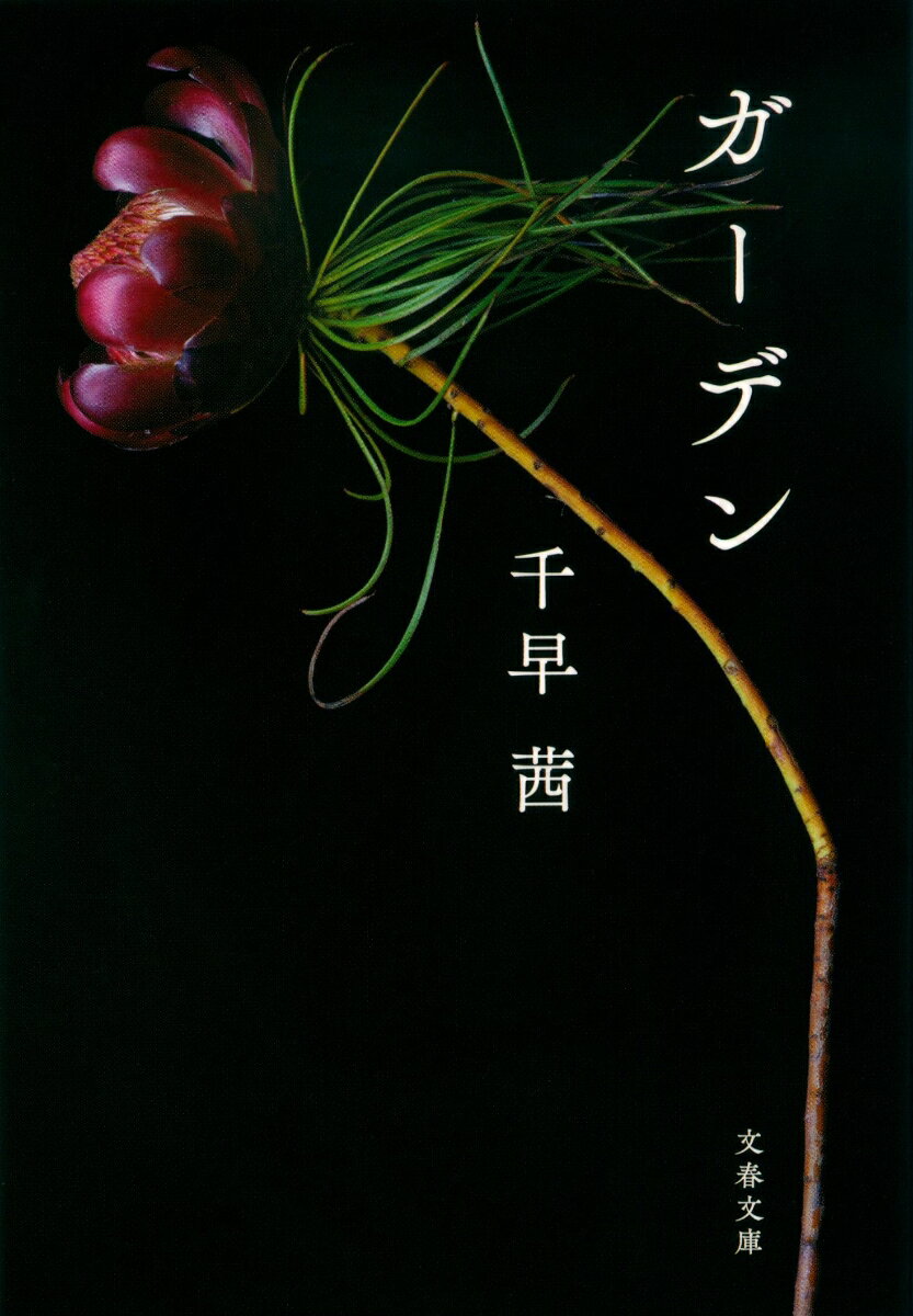 放っておいて欲しい。それが僕が他人に求める唯一のことーー

ファッション誌編集者の羽野は、花と緑を偏愛する独身男性。帰国子女だが、そのことをことさらに言われるのを嫌い、隠している。女性にはもてはやされるが、深い関係を築くことはない。

羽野と、彼をとりまく女性たちとの関係性を描きながら、著者がテーマとしてきた「異質」であることに正面から取り組んだ意欲作。

匂い立つ植物の描写、そして、それぞれに異なる顔を見せる女性たち。美しく強き生物に囲まれた主人公は、どのような人生を選び取るのかーー。