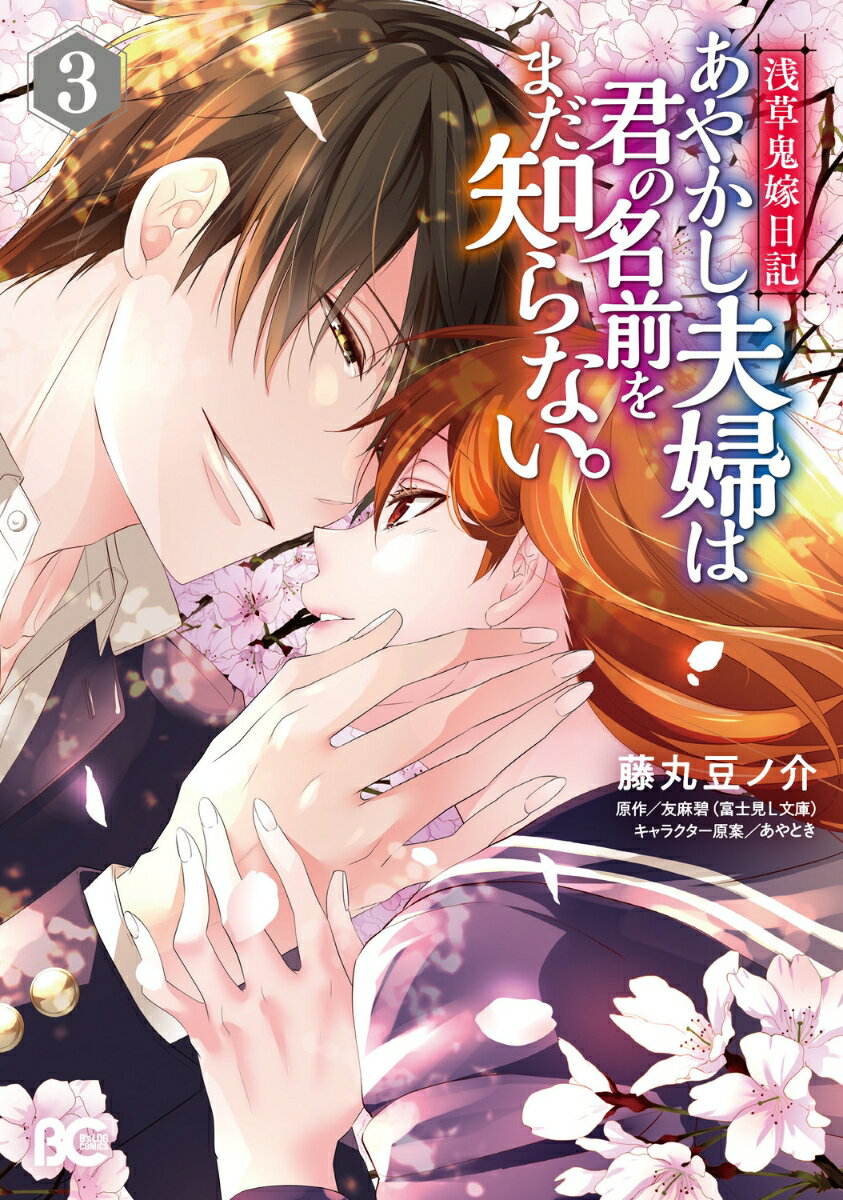 浅草鬼嫁日記　あやかし夫婦は君の名前をまだ知らない。 3巻