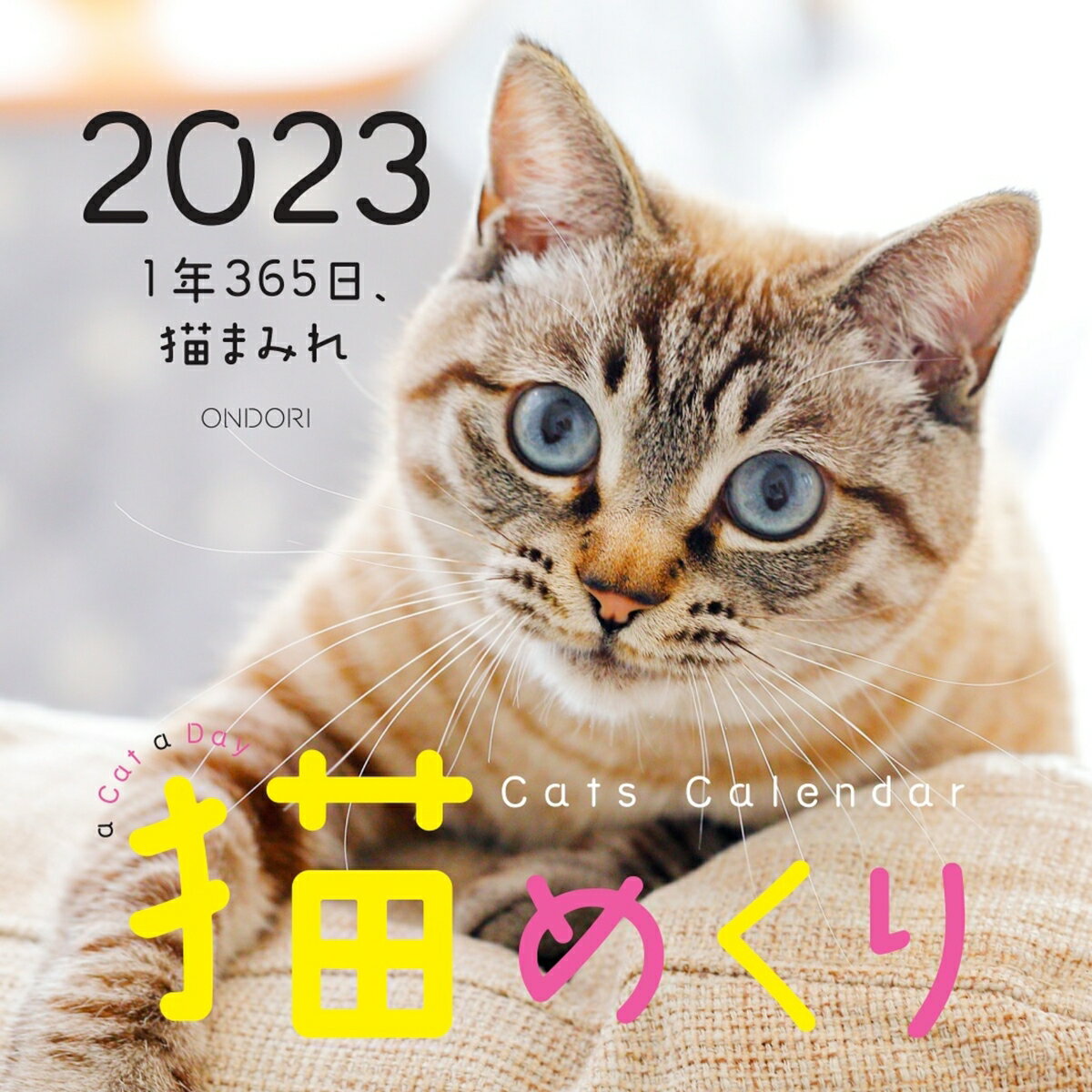 Cats Calendar 猫めくり2023 1年365日、猫まみれ