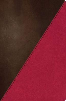 Study Bible-NKJV-Full Color B-NK-NEL DUO NX 2/E FULL COLOR [ Thomas Nelson ]