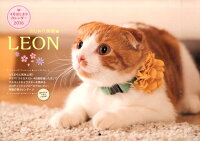 おしゃれ美猫LEON 4月はじまりカレンダー（2016）