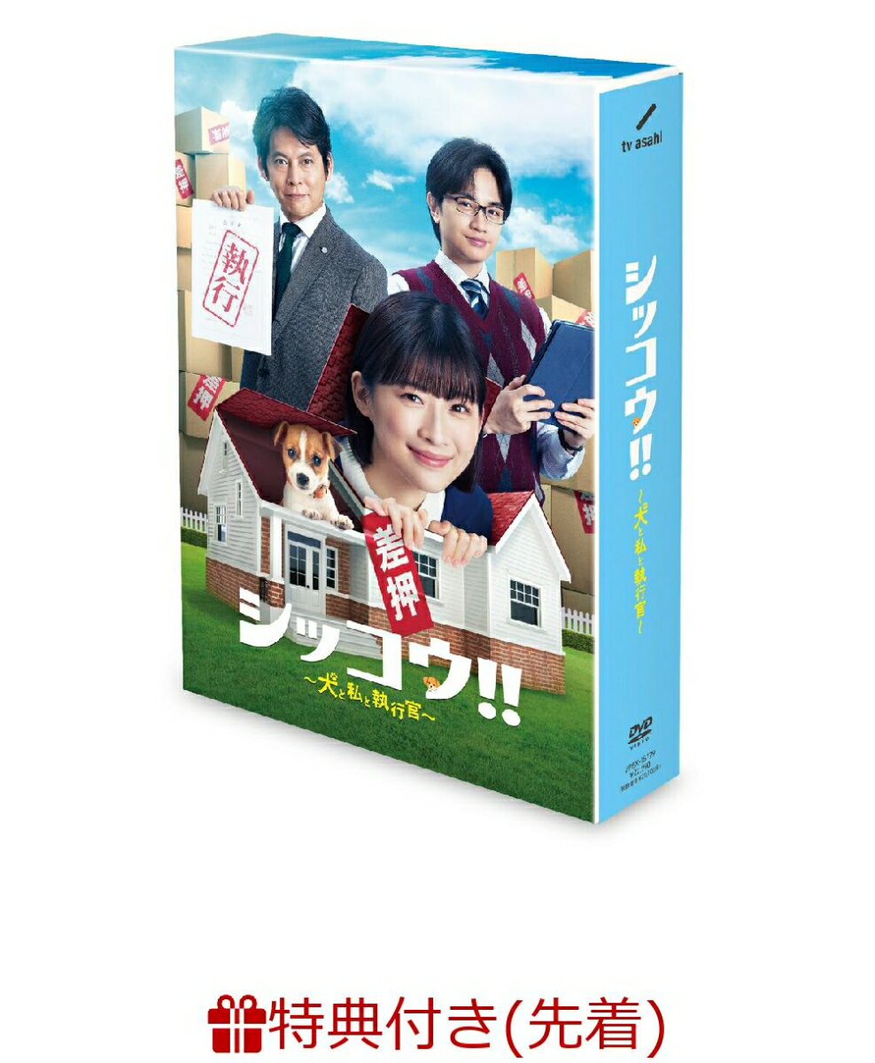 【先着特典】シッコウ!!～犬と私と執行官～ DVD-BOX(B6クリアファイル)