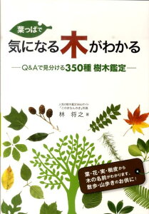 葉っぱで気になる木がわかる