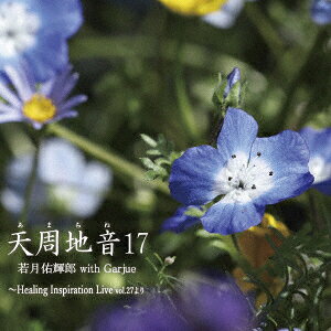 天周地音17