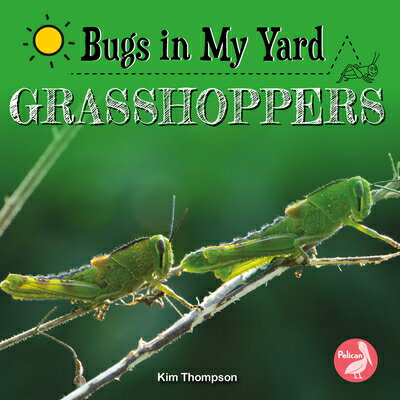 Grasshoppers GRASSHOPPERS 