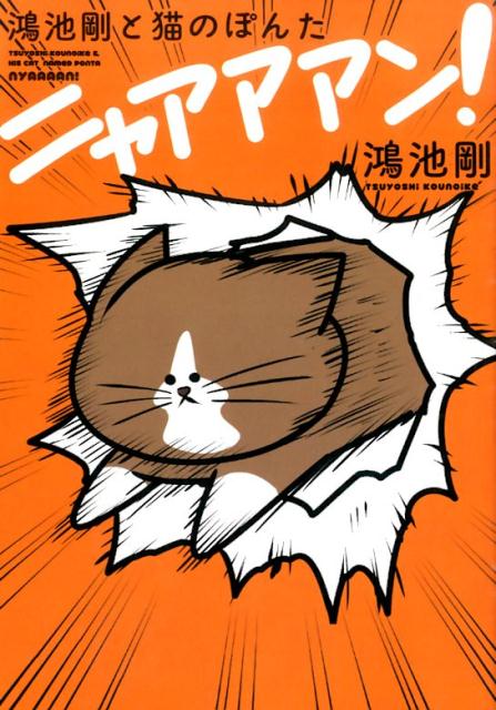 猫用インテリア・猫用家具